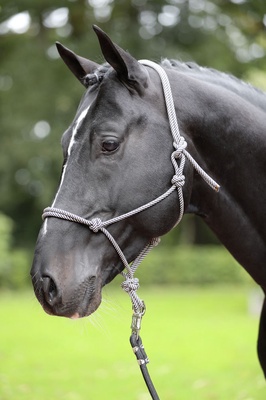 Cabezada Caballos nudos Cob Navy/beige